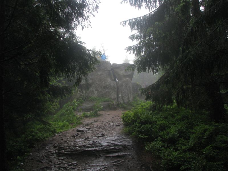 przylenkow (41)